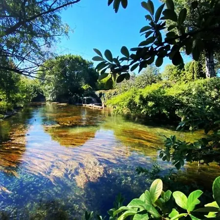Odonate * L'Isle-sur-la-Sorgue