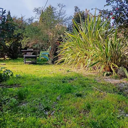 Odonate L'Isle-sur-la-Sorgue